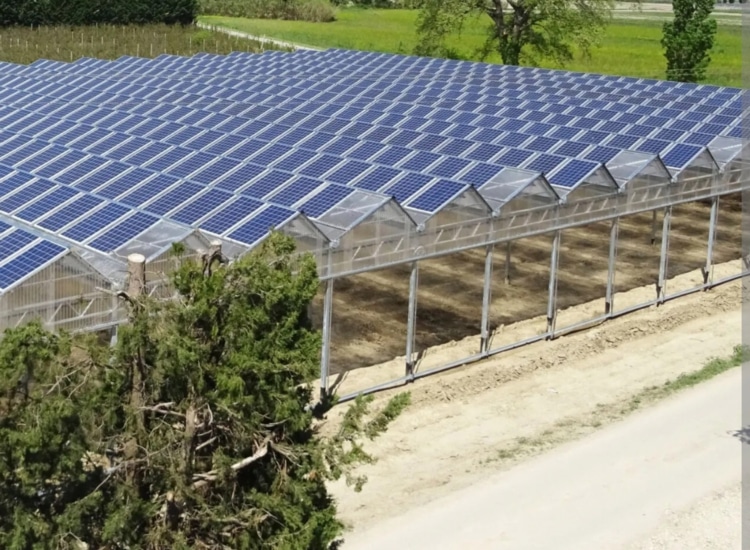 terra environnement domaines intervention agrivoltaique 2