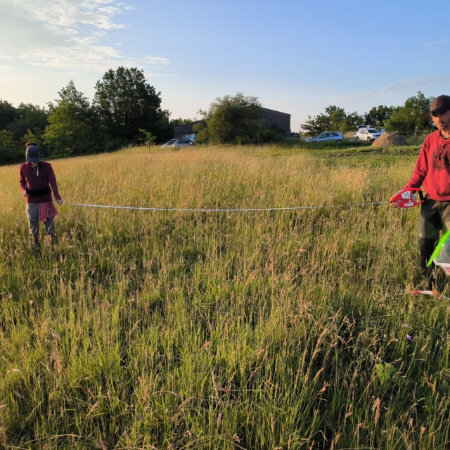 terra environnement etude impact protocole fourmis
