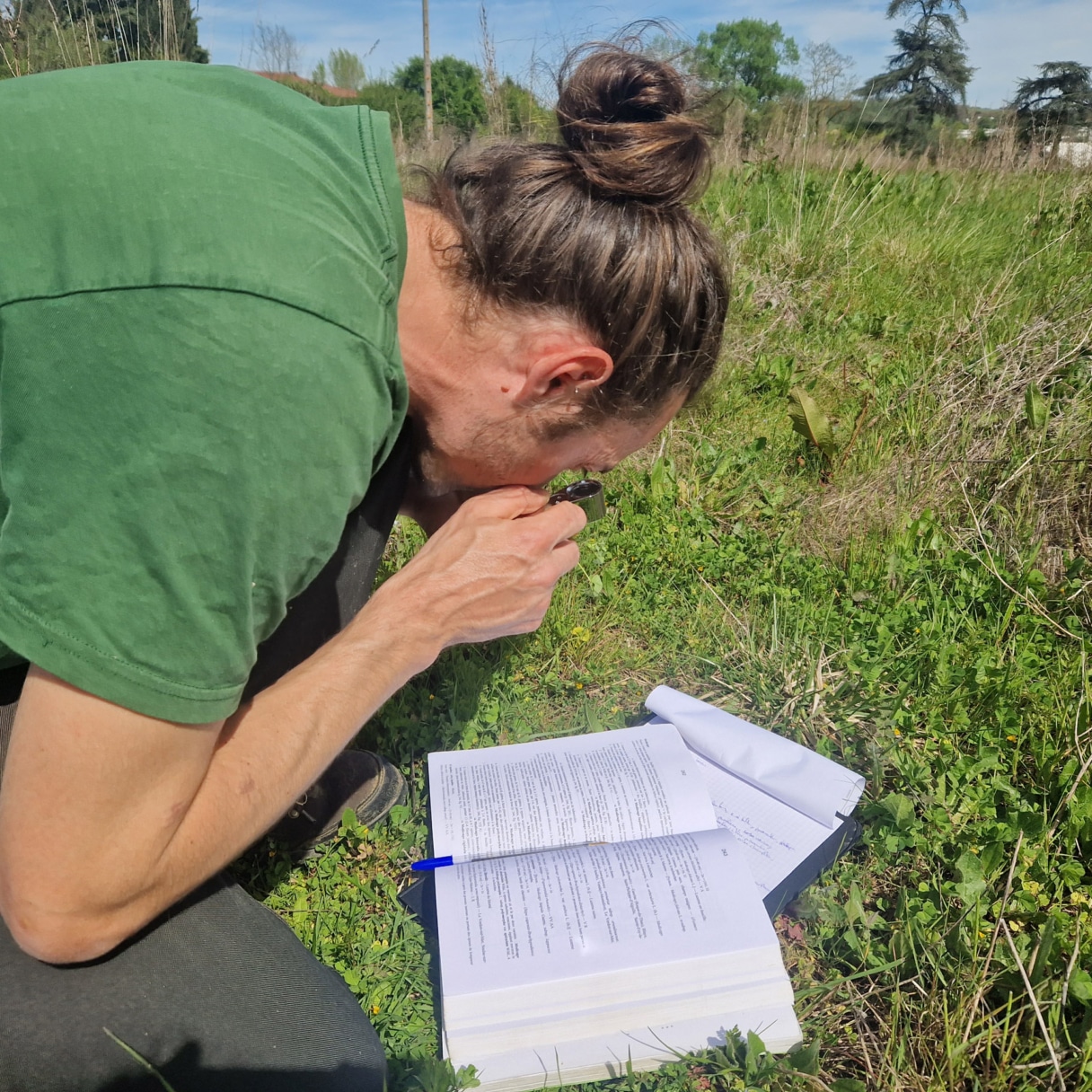 terra environnement etudes expertise conseil 2