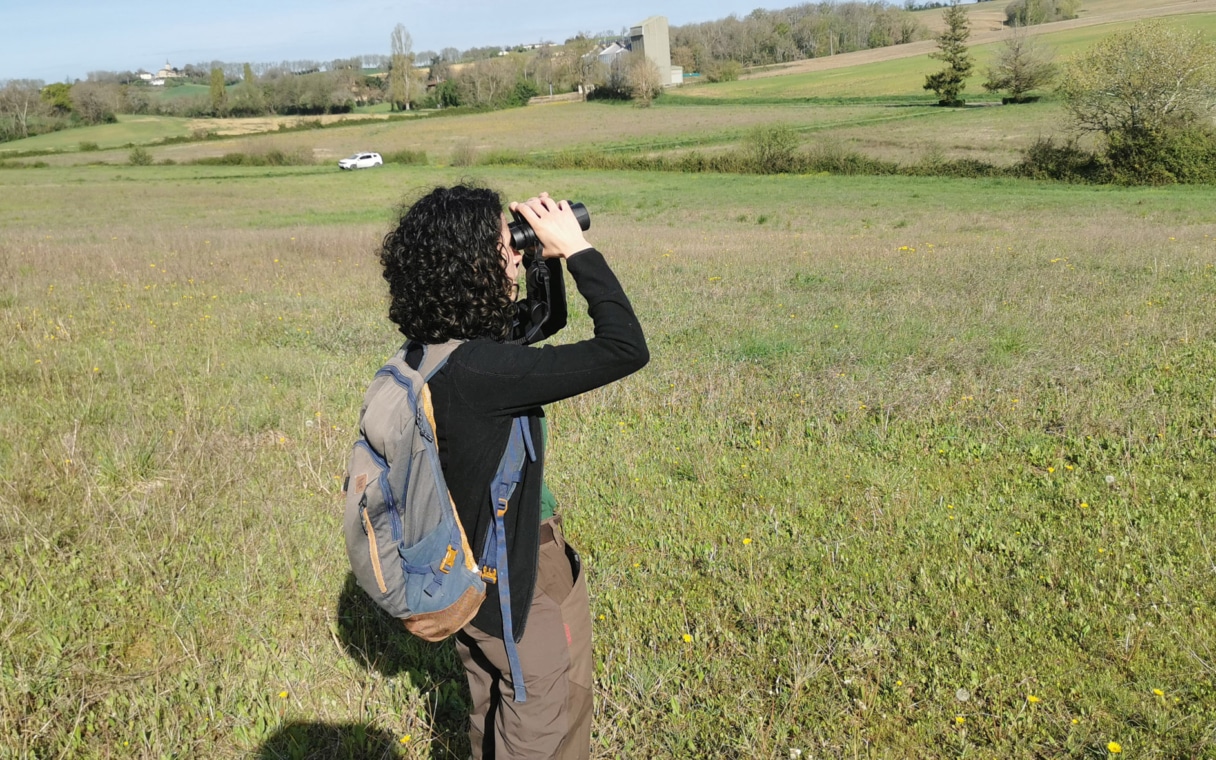 terra environnement domaines intervention ecologie 2