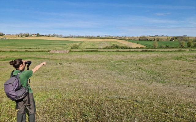terra environnement domaines intervention photovoltaique 1