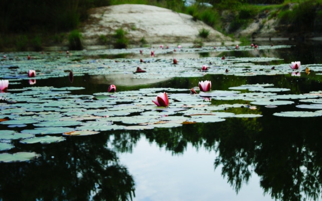 terra environnement dossier loi sur l eau 3