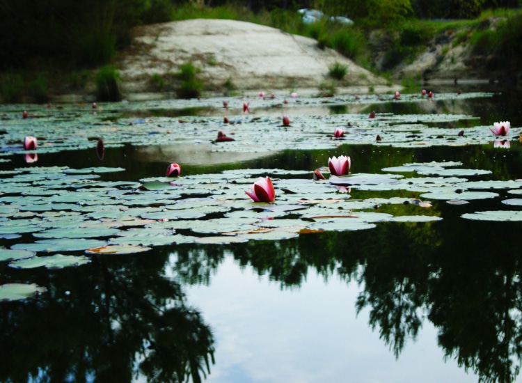 terra environnement dossier loi sur l eau 3