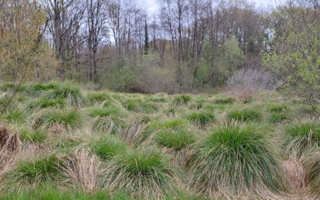terra environnement zones humides 4