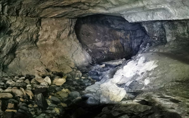 terra environnement grotte chiroptere