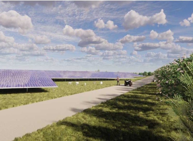 terra environnement prestations cdpnaf 1